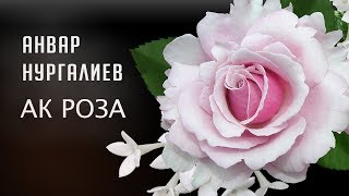 Анвар Нургалиев - Ак Роза