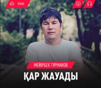Мейірбек Тұрманов - Қар жауады