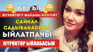 Сайкал Садыбакасова - Ыйлатпачы