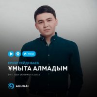 Ернұр Сейдінбаев - Ұмыта алмадым