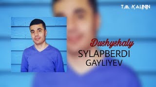 Sylapberdi Gayliyev - Dushyshaly