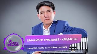 Таалайбек Турдубаев - Кайдасын