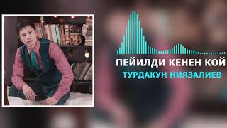 Турдакун Ниязалиев - Пейилди кенен кой