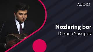 Dilxush Yusupov - Nozlaring bor