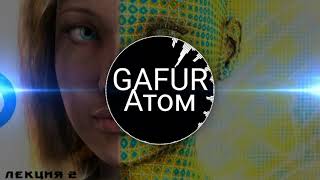 GAFUR - Атом я бы опустел