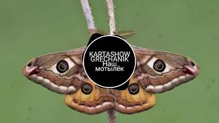 KARTASHOW & GRECHANIK - Наш мотылёк