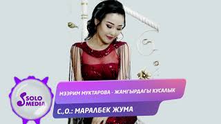 Мээрим Муктарова - Жамгырдагы кусалык