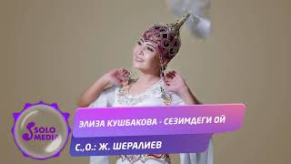 Элиза Кушбакова - Сезимдеги ой