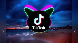 Danza Kuduro - Tiktok (Remix)