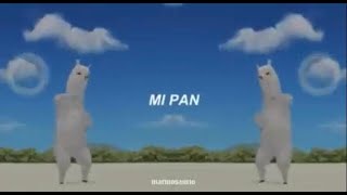 Mi pan Su Su Sum Tik tok - Mi pad ju ju ju & Intihaşk (DNDM Remix)