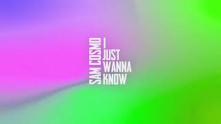 Sam Cosmo - I just wanna know