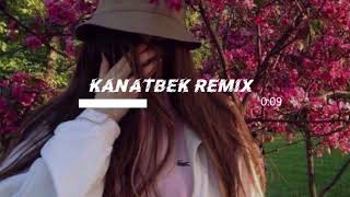 Alvile - remix Kanatbek