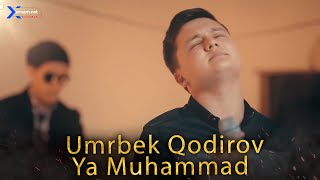 Umrbek Qodirov - Ya Muhammad (jonli ijro)