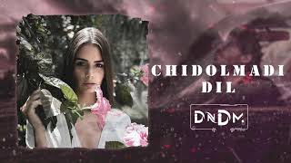 Chidolmadi Dil - DNDM REMIX