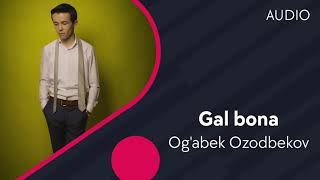 Og'abek Ozodbekov - Gal bona