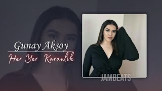 Gunay Aksoy - Her Yer Karanlik (Remix)