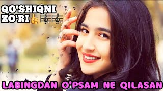 Labingdan o`psam - aytgin jonim