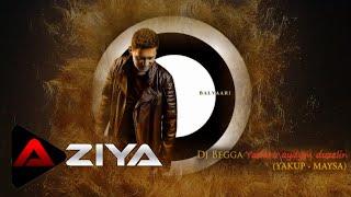 DJ BEGGA - Yaslara aydym duzelin