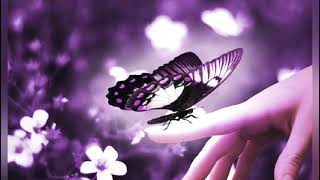 Мен үшін жаралғандайсың - ремикс