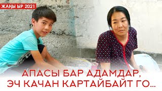 Тайырбек Шайлообаев - Апакем