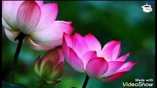 Ғизат Сәкенұлы - Әлі есімде