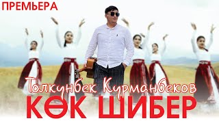 Толкунбек Курманбеков - Кок шибер