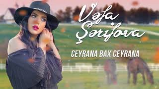 Vefa Serifova - Ceyrana Bax Ceyrana