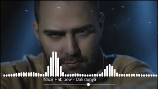 Nazir Habibov - Dali dunya