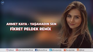 Ahmet Kaya - Yaşamadın Sen (Fikret Peldek Remix)